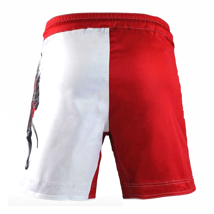 MMA Shorts 
